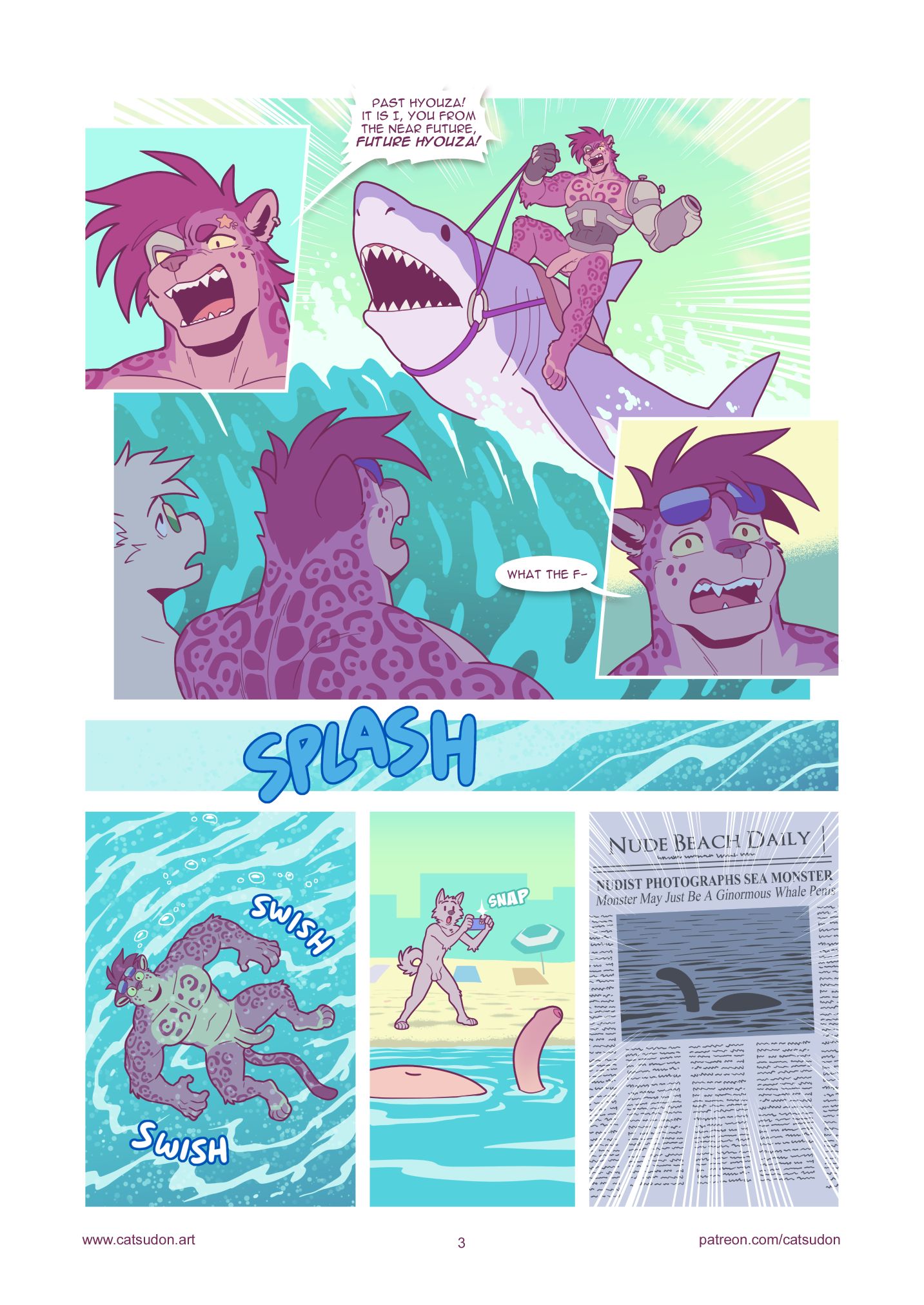 Page 3